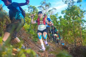 BIB: 2476
                            <button type="button" onclick="openModal(21836526)" class="btn btn-primary btn-sm float-right btn-popup" data-toggle="modal" data-target=".modal-high-quality">
                        <i class="fas fa-shopping-cart"></i> Add to Cart
                    </button>
                                            <button type="button" onclick="isThisMe(21836526, true)" class="btn btn-success btn-sm float-right btn-popup btn-isme hidden" data-toggle="tooltip" data-placement="bottom" title="นี่คือรูปของคุณใช่ไหม คลิกที่นี่เพื่อเอาเข้าอัลบั้ม">
                        <i class="fas fa-plus"></i> Add to album
                    </button>
                    <button type="button" onclick="isThisMe(21836526, false)" class="btn btn-warning btn-sm float-right btn-popup btn-isnotme hidden">
                        <i class="fas fa-ban"></i> Remove from album
                    </button>